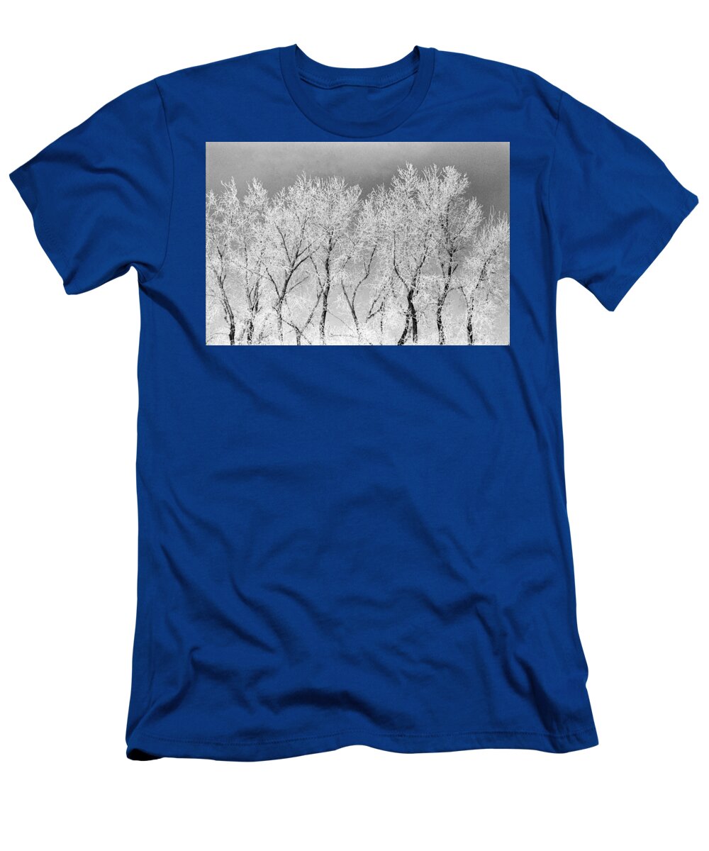 Trees Ice North Dakota T-Shirt featuring the photograph Ice Trees #1 by William Kimble