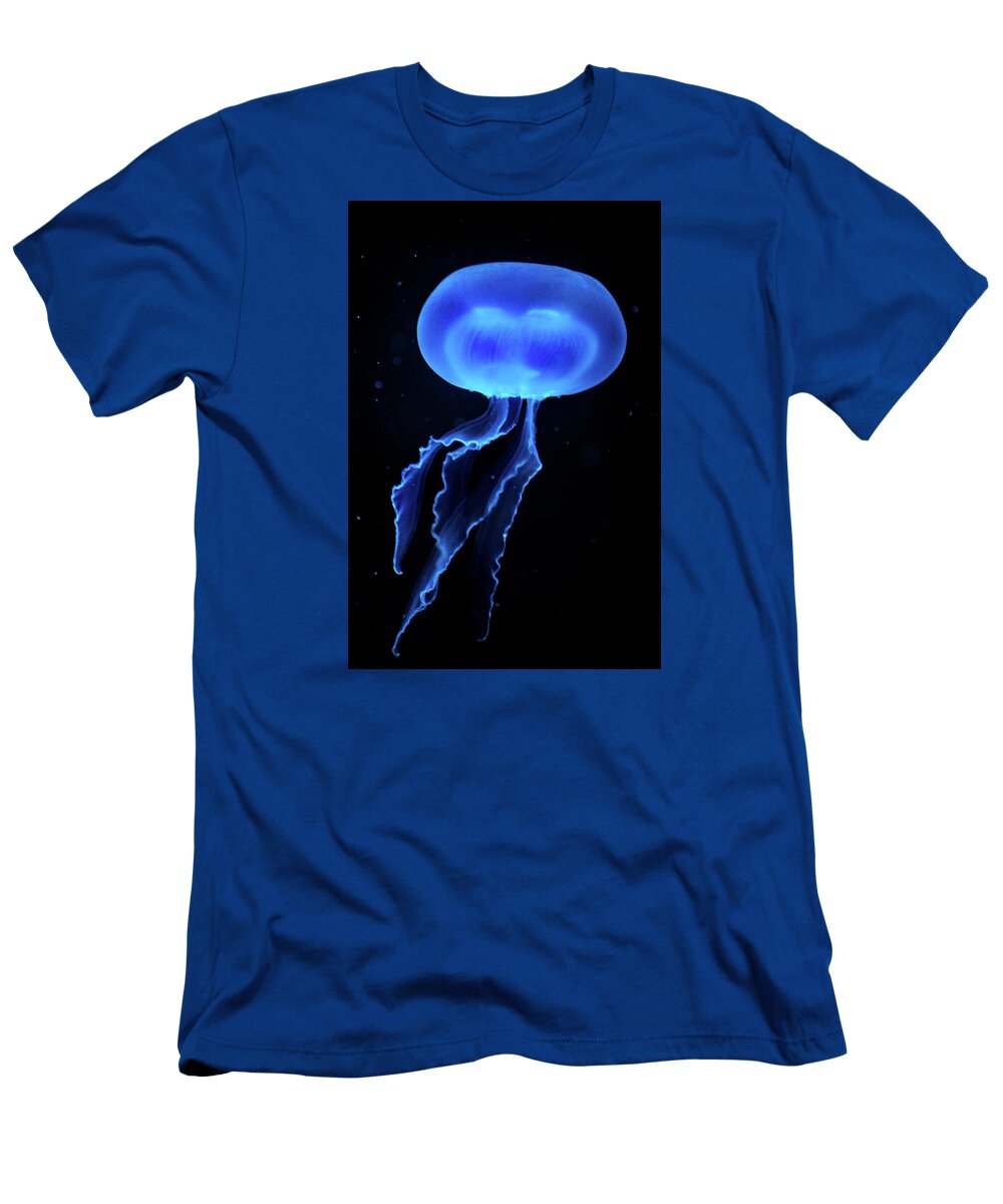 Jellyfish T-Shirt featuring the photograph Jellyfish #1 by Don Johnson