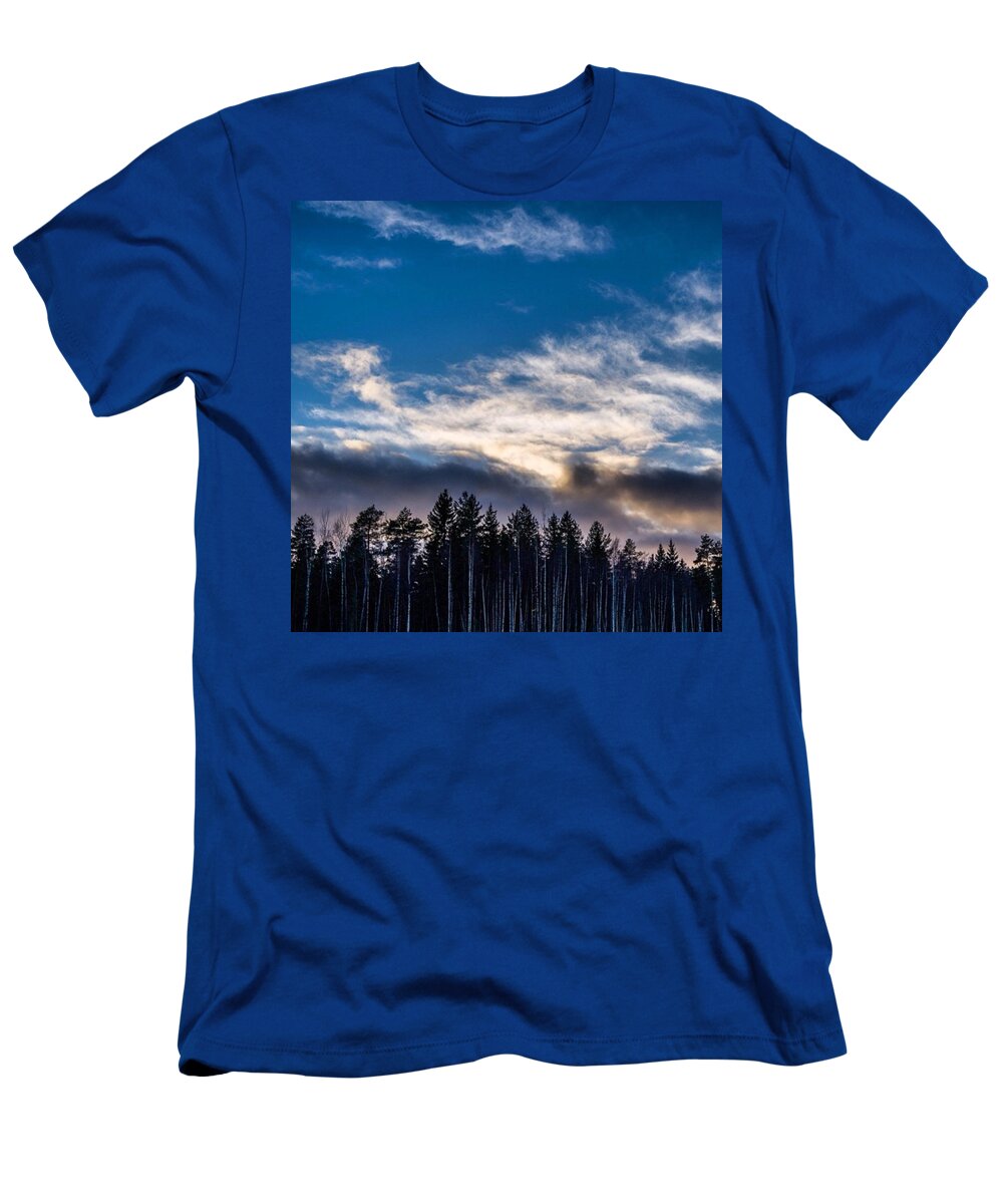  T-Shirt featuring the photograph Beauty #2 by Aleck Cartwright