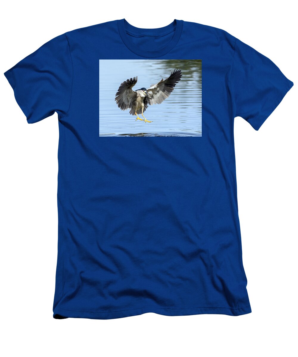 Black Crowned Night Heron T-Shirt featuring the photograph Black Crowned Night Heron #2 by Tam Ryan