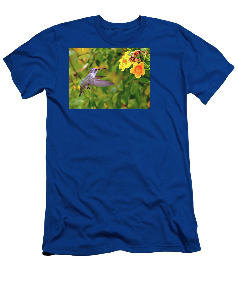 Hummingbird T-Shirt featuring the photograph Anna's Hummingbird #3 by Tam Ryan