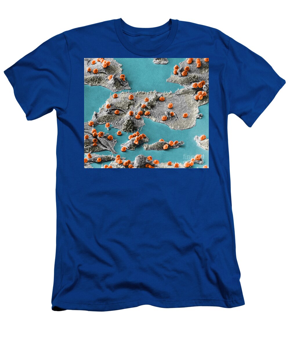 Science T-Shirt featuring the photograph Immune Cells Attacking Cancer Cells, Sem #5 by Science Source