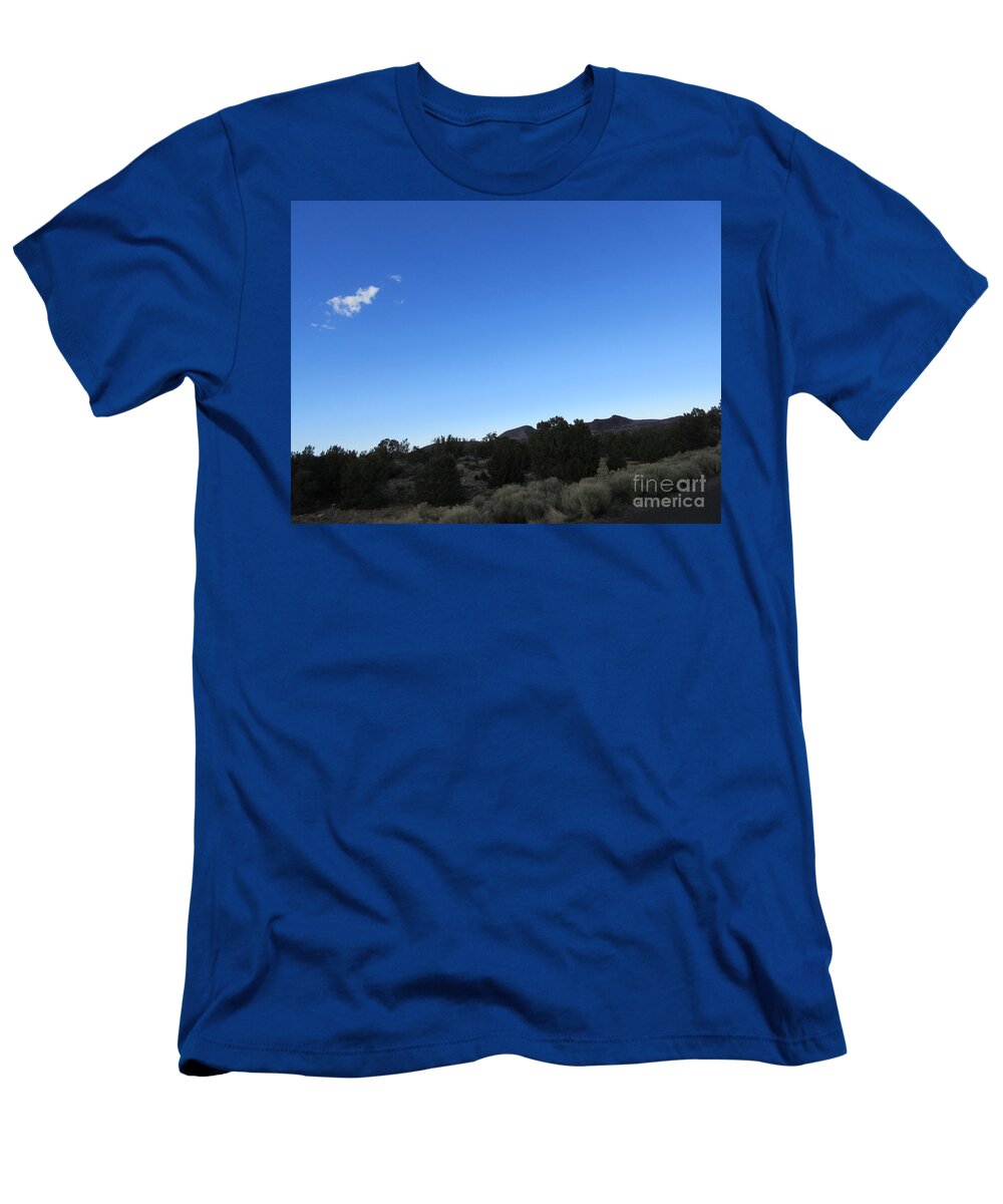 Desert T-Shirt featuring the photograph Desert Landscape #38 by Frederick Holiday