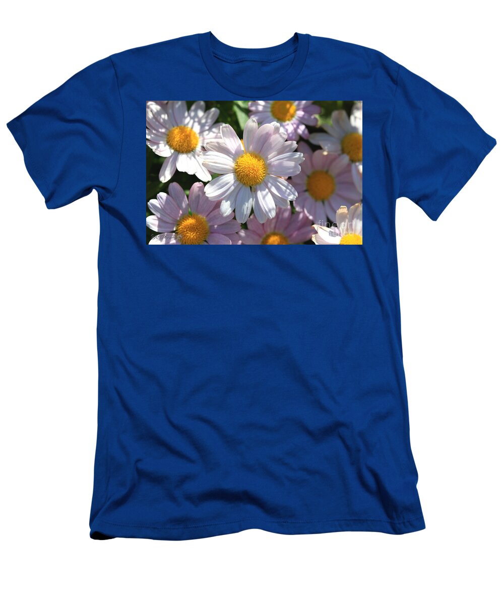 Mccombie T-Shirt featuring the photograph Marguerite Daisy named Petite Pink #2 by J McCombie