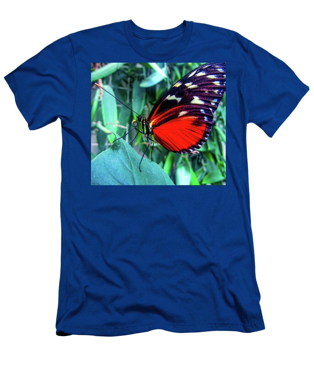 Mountain T-Shirt featuring the photograph Butterfly #7 by Cesar Vieira