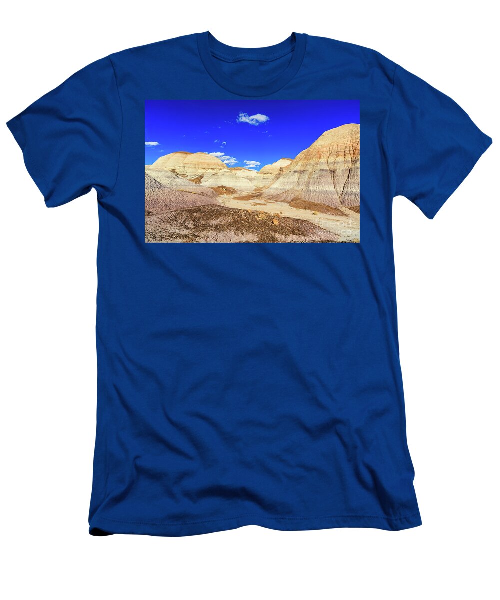 Arizona T-Shirt featuring the photograph Arizona Petrified Forest #9 by Raul Rodriguez