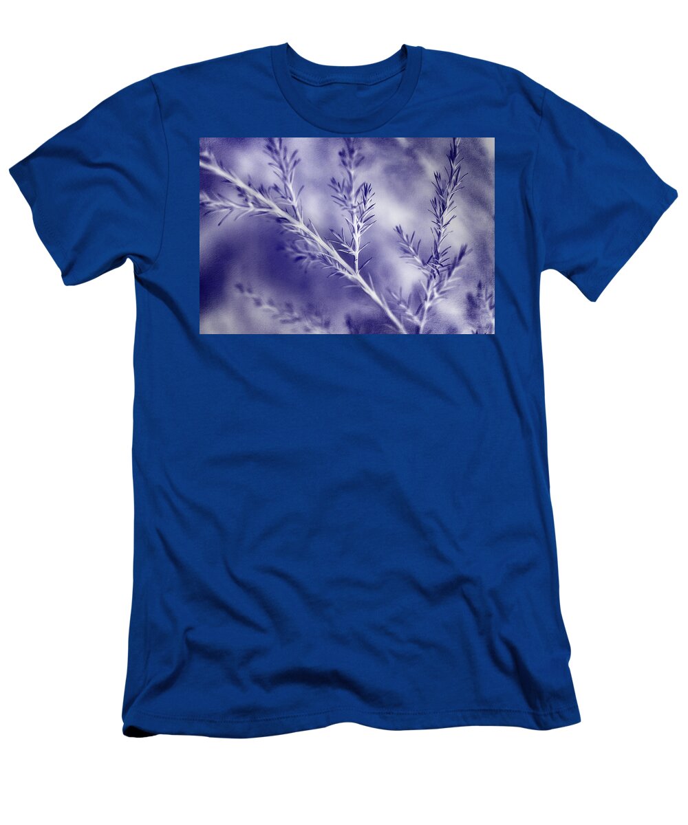 Pine T-Shirt featuring the photograph A Blue Mood by Mike Eingle