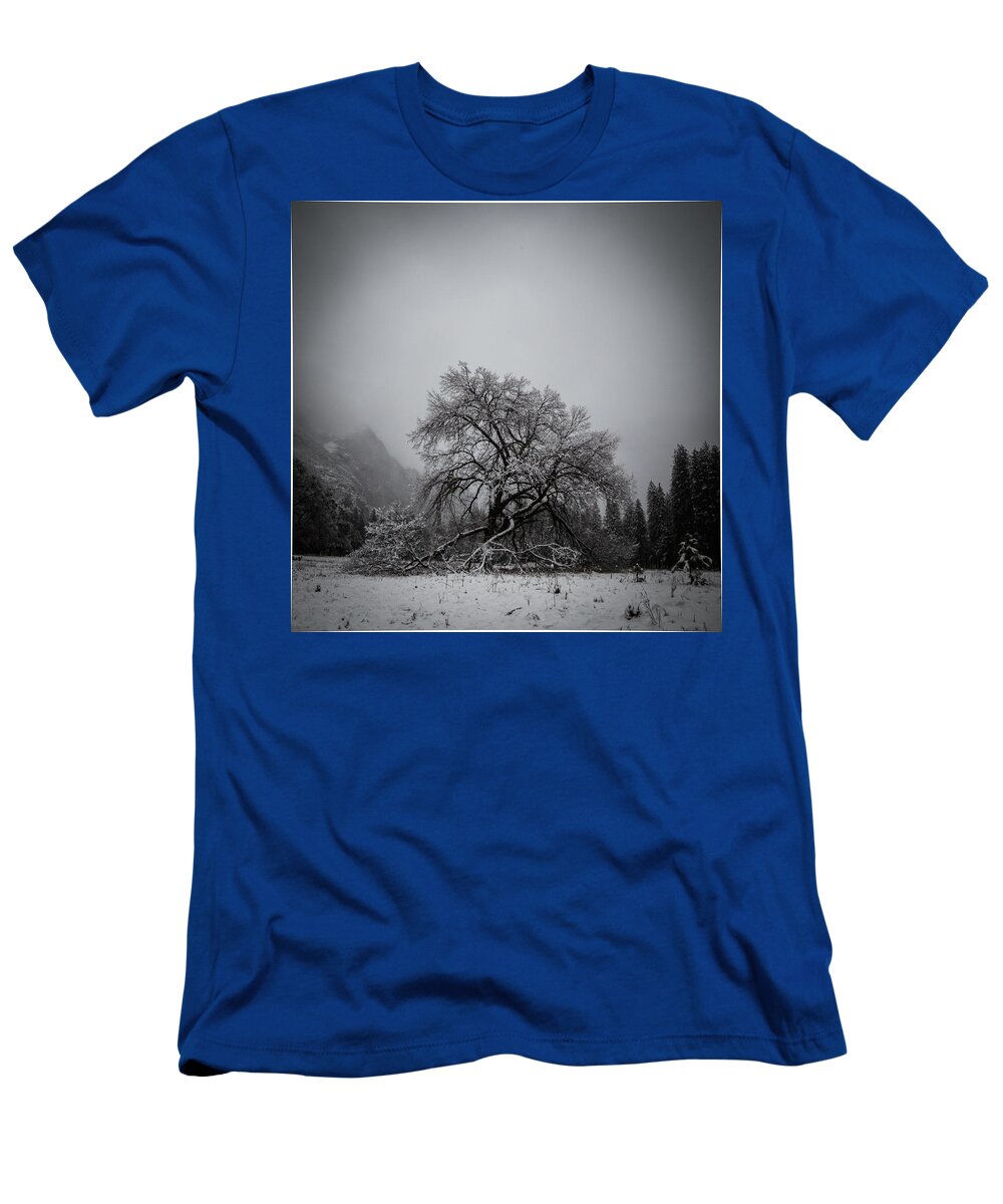 Tree T-Shirt featuring the photograph A magic tree by Lora Lee Chapman