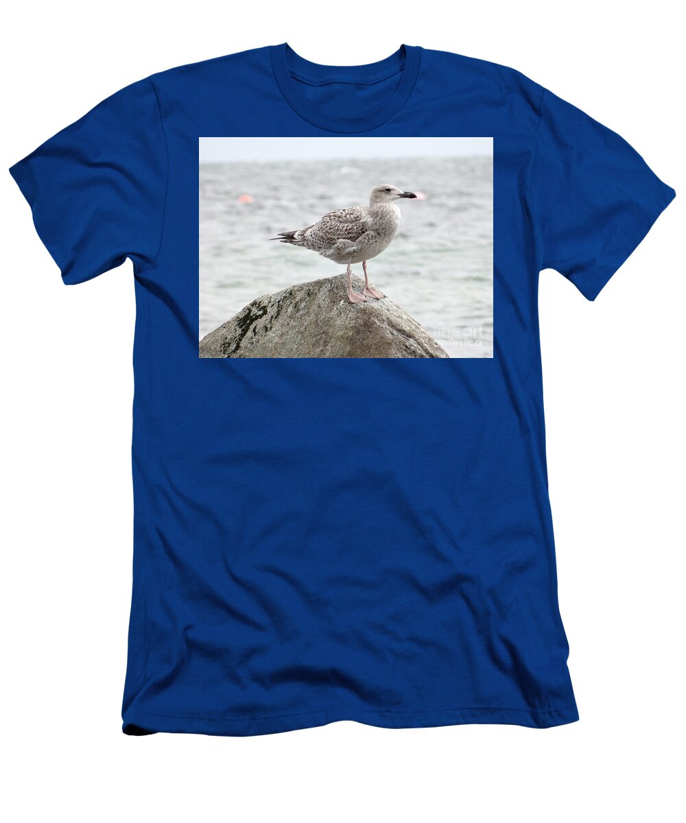 Gull T-Shirt featuring the photograph A moment of rest by Karin Ravasio