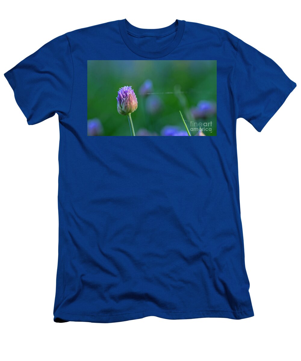 Landscape T-Shirt featuring the photograph A Spider Strain by Alana Ranney