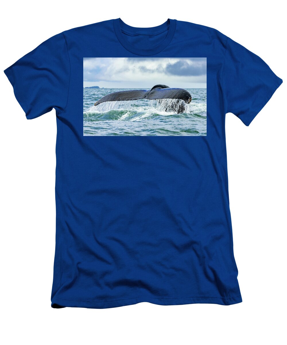Alaska T-Shirt featuring the photograph A Whale's Tail by Roberta Kayne