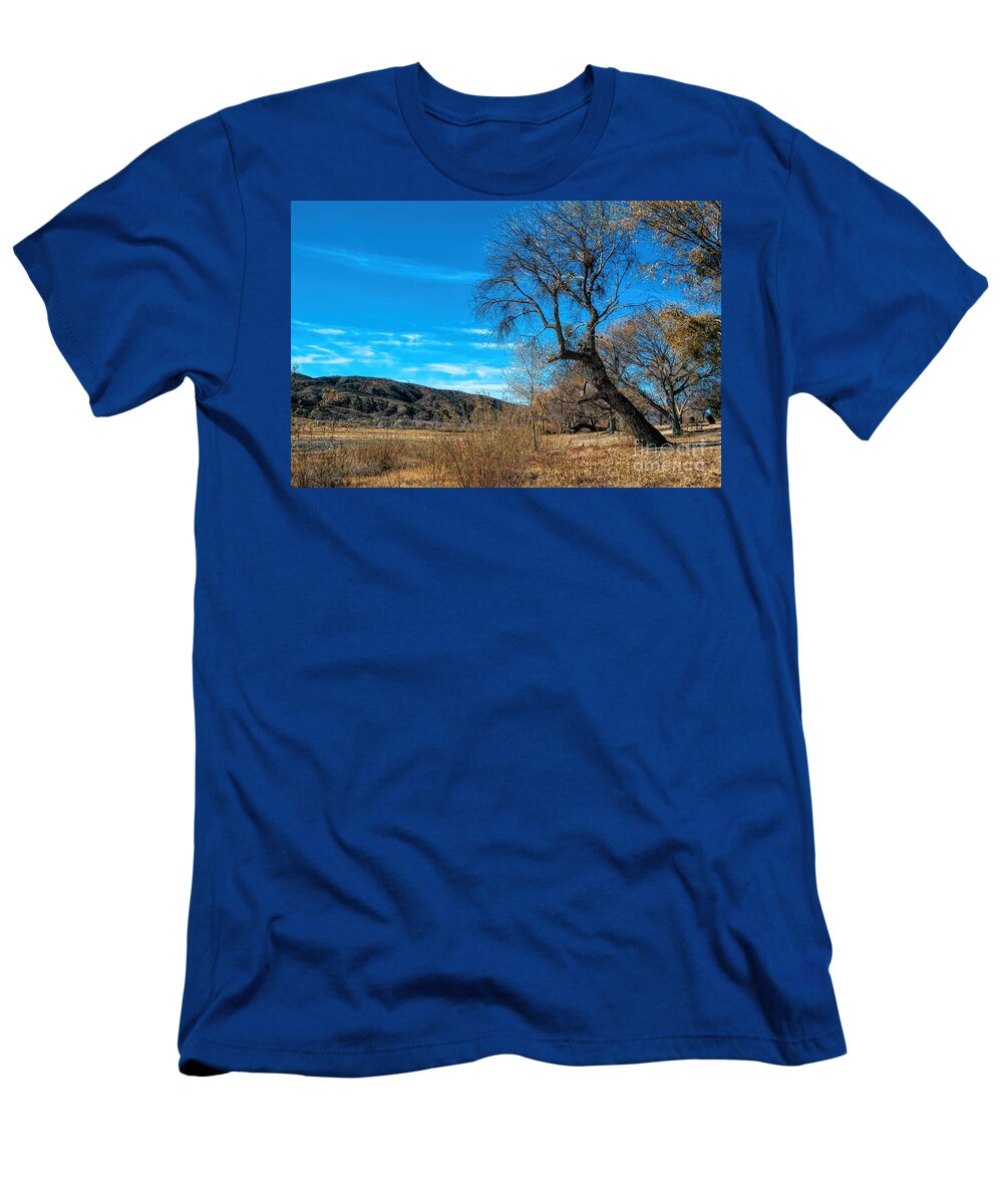 Elizabeth Lake; Sierra Pelona Mountains; Leona Valley; Yellow; Blue; Brown; Sky; Mountain; Trees; Picnic Tables; Abandoned Park T-Shirt featuring the photograph Forgotten Park by Joe Lach
