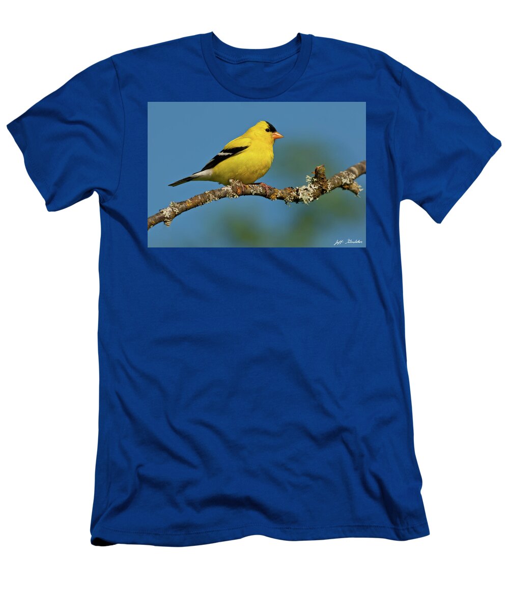 American Goldfinch T-Shirt featuring the photograph American Goldfinch Perched in a Tree by Jeff Goulden