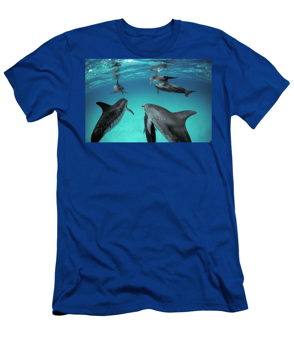 00088855 T-Shirt featuring the photograph Among the Spotted Dolphins by Flip Nicklin
