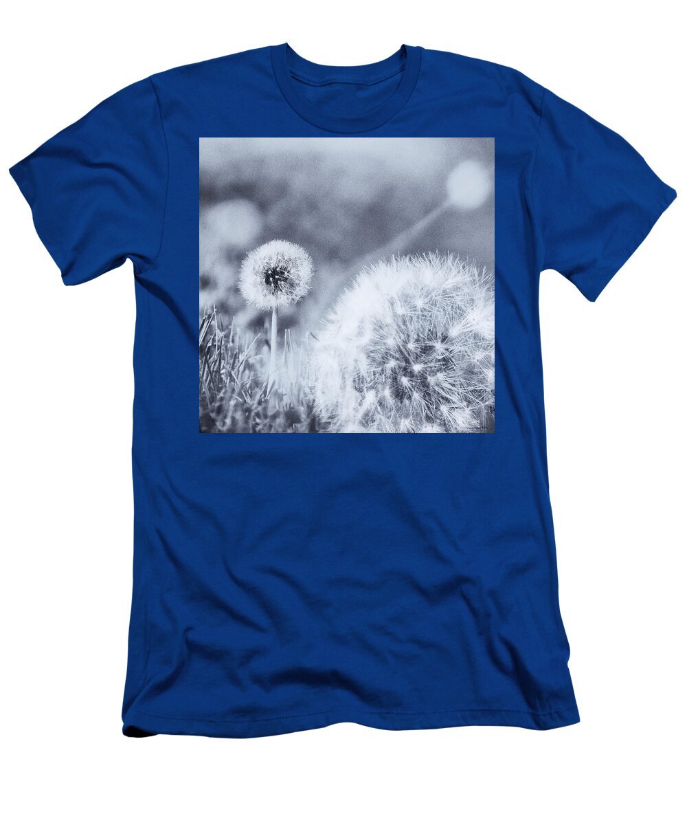 Dandelion T-Shirt featuring the photograph Around The Meadow 2 by Jaroslav Buna
