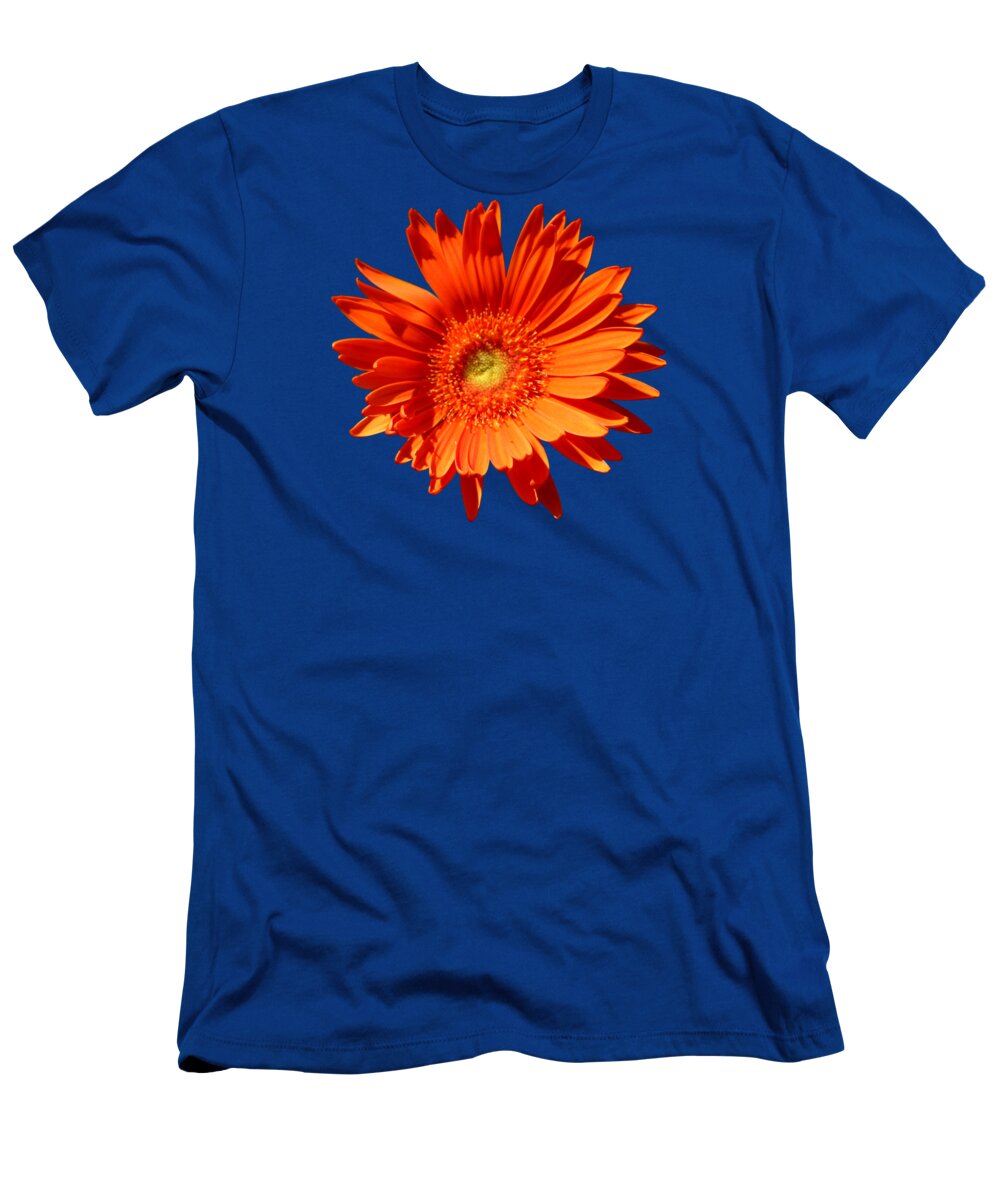 Daisy T-Shirt featuring the photograph Orange Delight by Brian Manfra