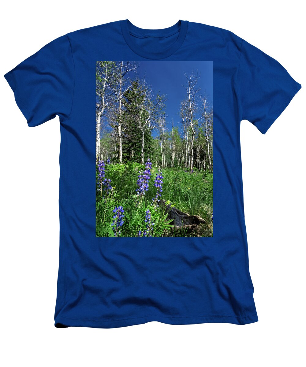 Aspens T-Shirt featuring the photograph Aspens in the Rockies by Ron Pate