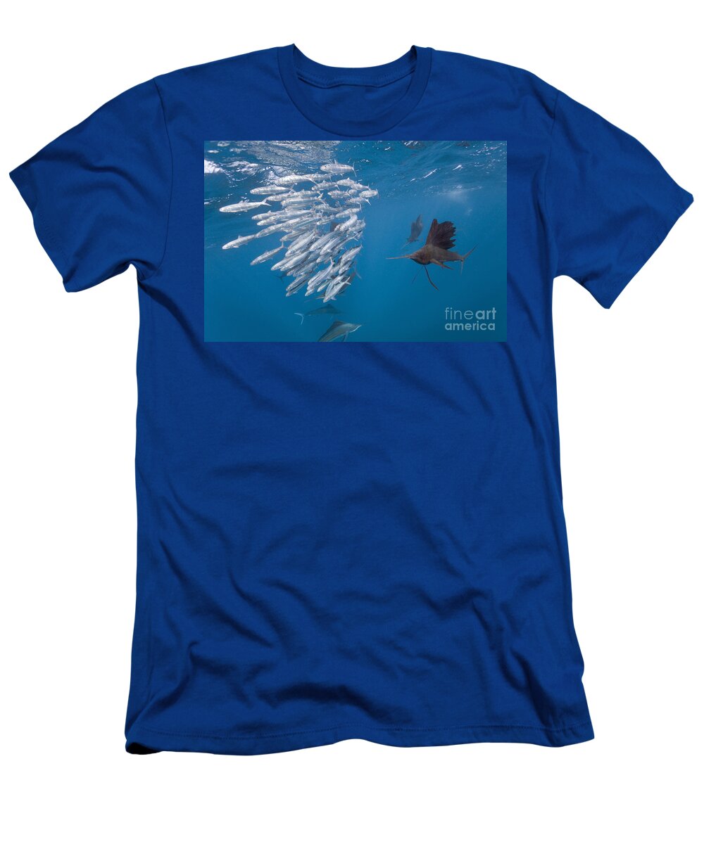Atlantic Sailfish T-Shirt featuring the photograph Atlantic Sailfish And Sardines by Reinhard Dirscherl