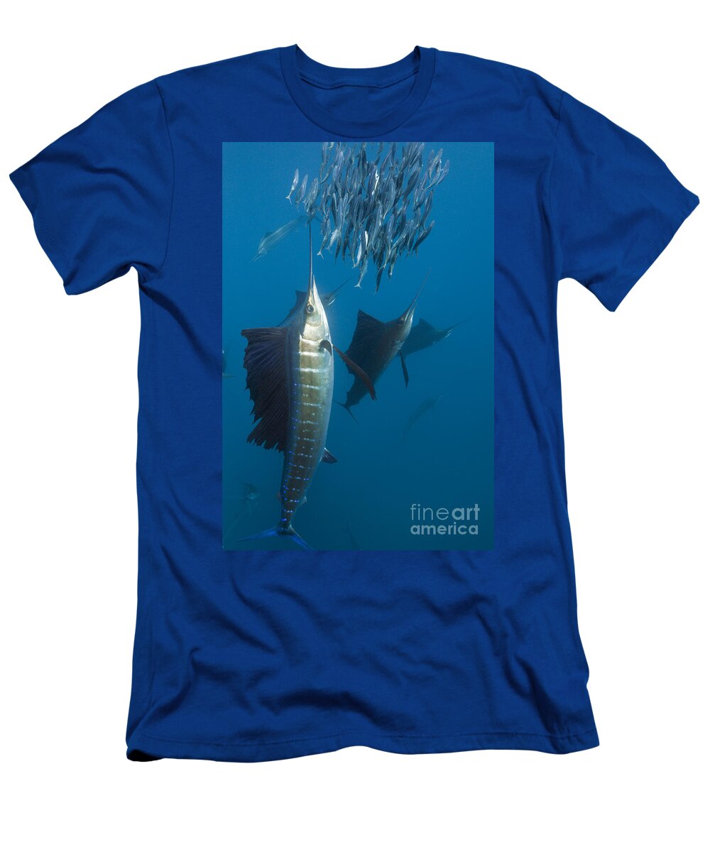 Atlantic Sailfish T-Shirt by Reinhard Dirscherl - Science Source Prints -  Website