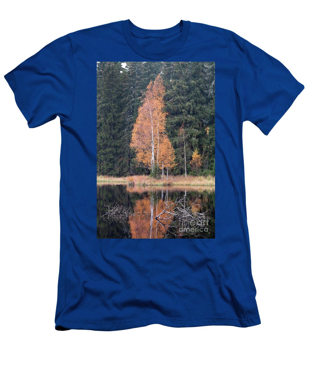 Reflection T-Shirt featuring the photograph Autumn Birch by the Lake by Michal Boubin