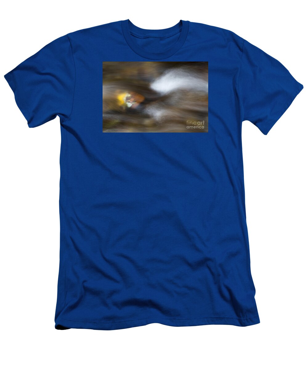 Leaves T-Shirt featuring the photograph Autumn Concealed by Michael Dawson