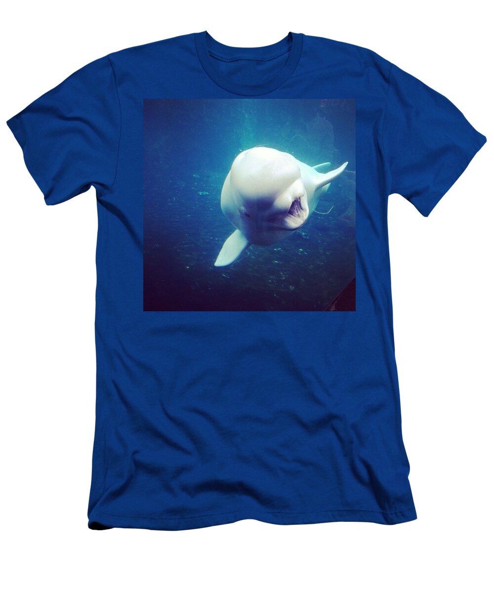 Whale T-Shirt featuring the photograph Baby Beluga Greeting by Kate Arsenault 