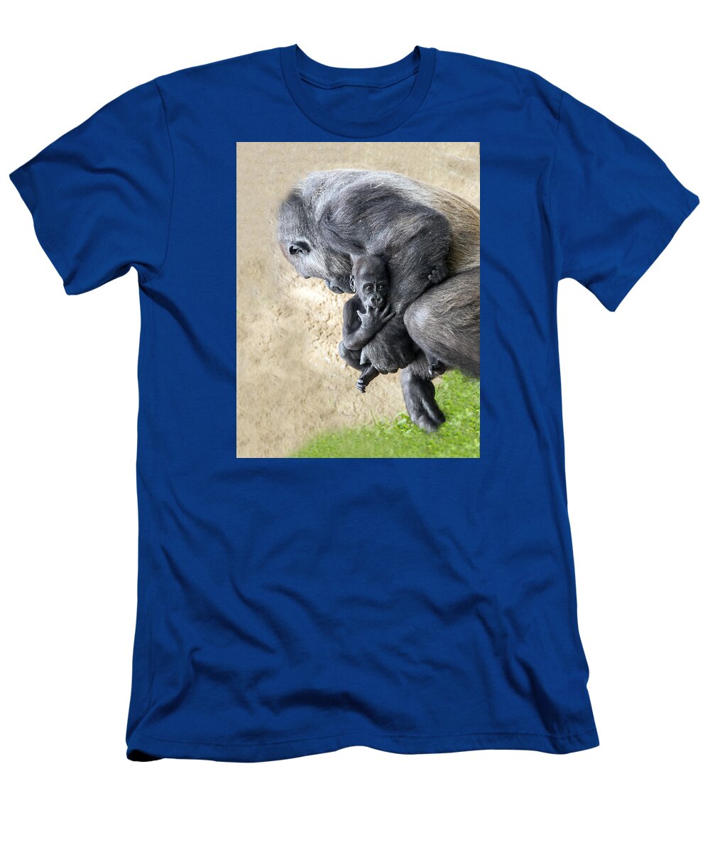 Gorilla T-Shirt featuring the photograph Baby Gorilla Held By Mama by William Bitman