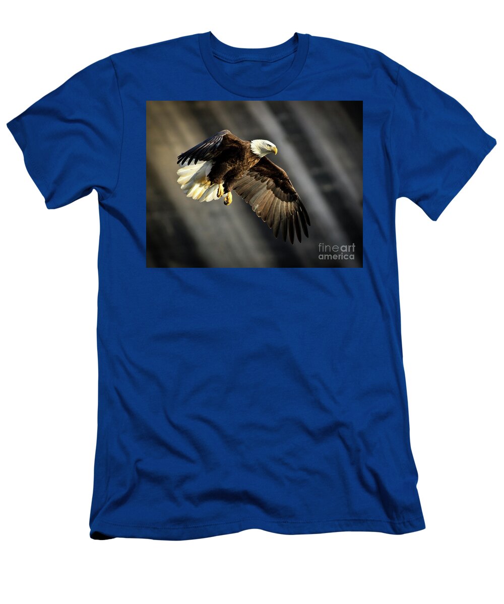 Bald T-Shirt featuring the photograph Bald Eagle Prepares to Dive by Douglas Stucky