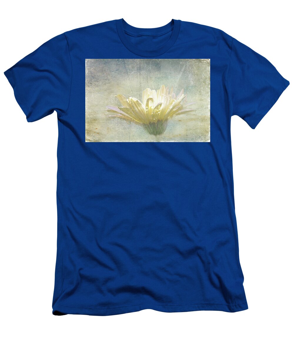 Spring T-Shirt featuring the digital art Bathed in Spring by Terry Davis