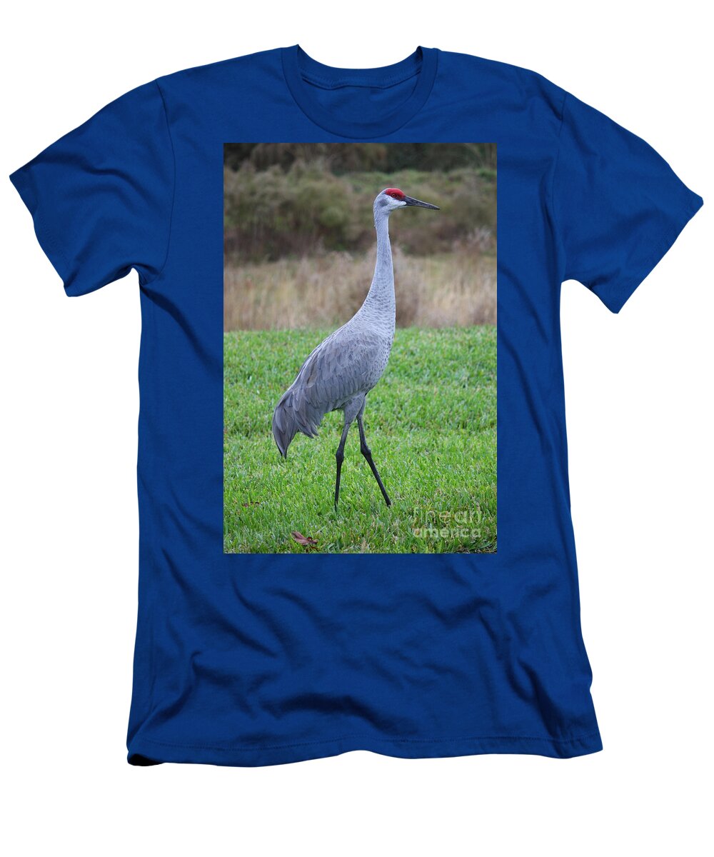 Animals T-Shirt featuring the photograph Beautiful Sandhill Crane by Carol Groenen