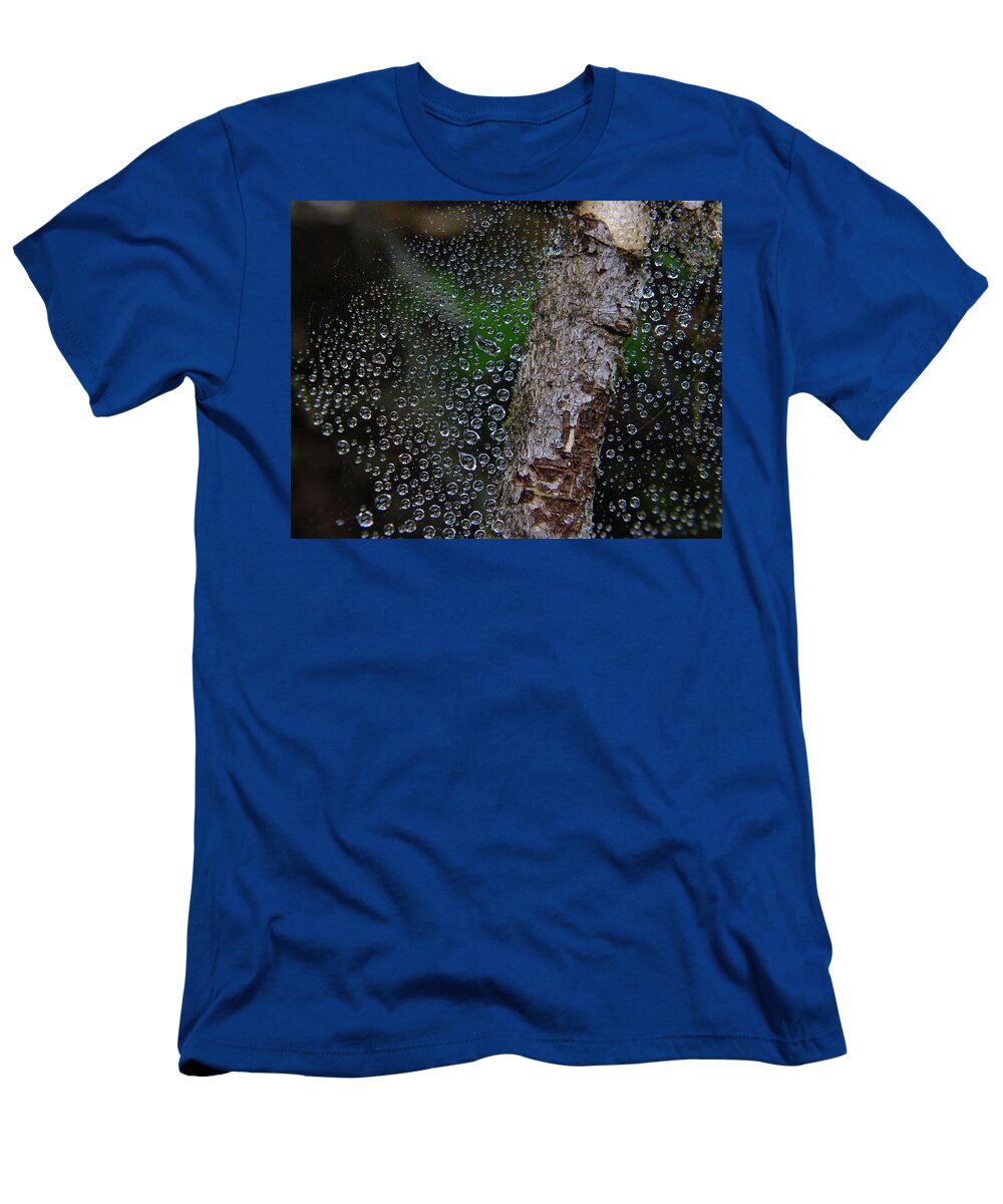 Webb T-Shirt featuring the photograph Beautiful wet web by Jeff Swan