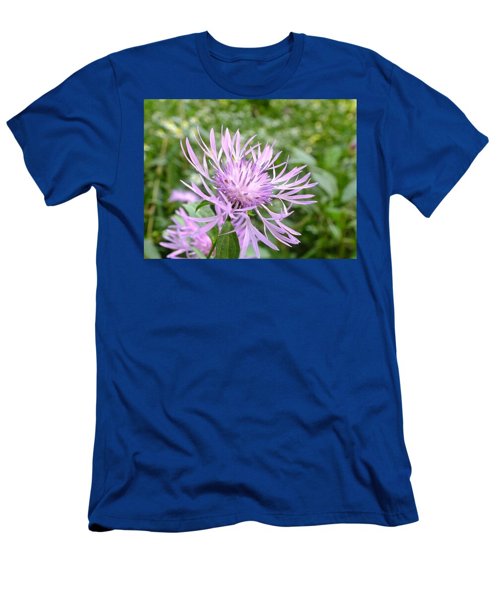Nature T-Shirt featuring the photograph Bee Balm by Peggy King