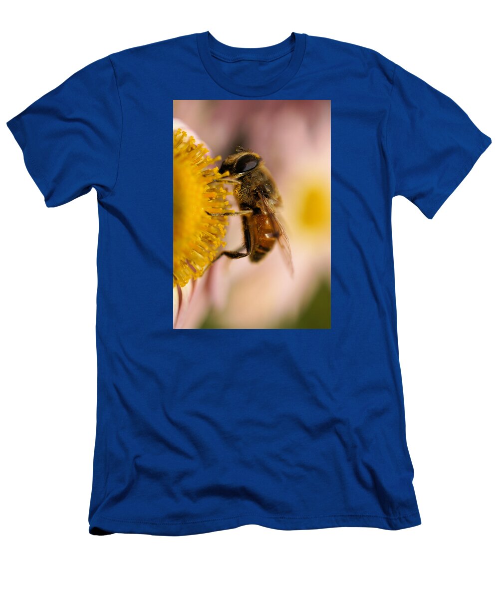 Bee On The Flower T-Shirt featuring the photograph Hoverfly on the flower extreme close up by Lilia S