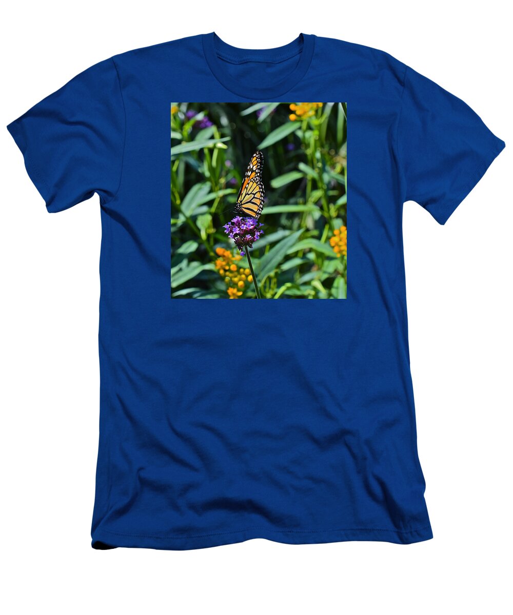 Monarch Butterflies T-Shirt featuring the photograph Beginning September Monarch by Janis Senungetuk