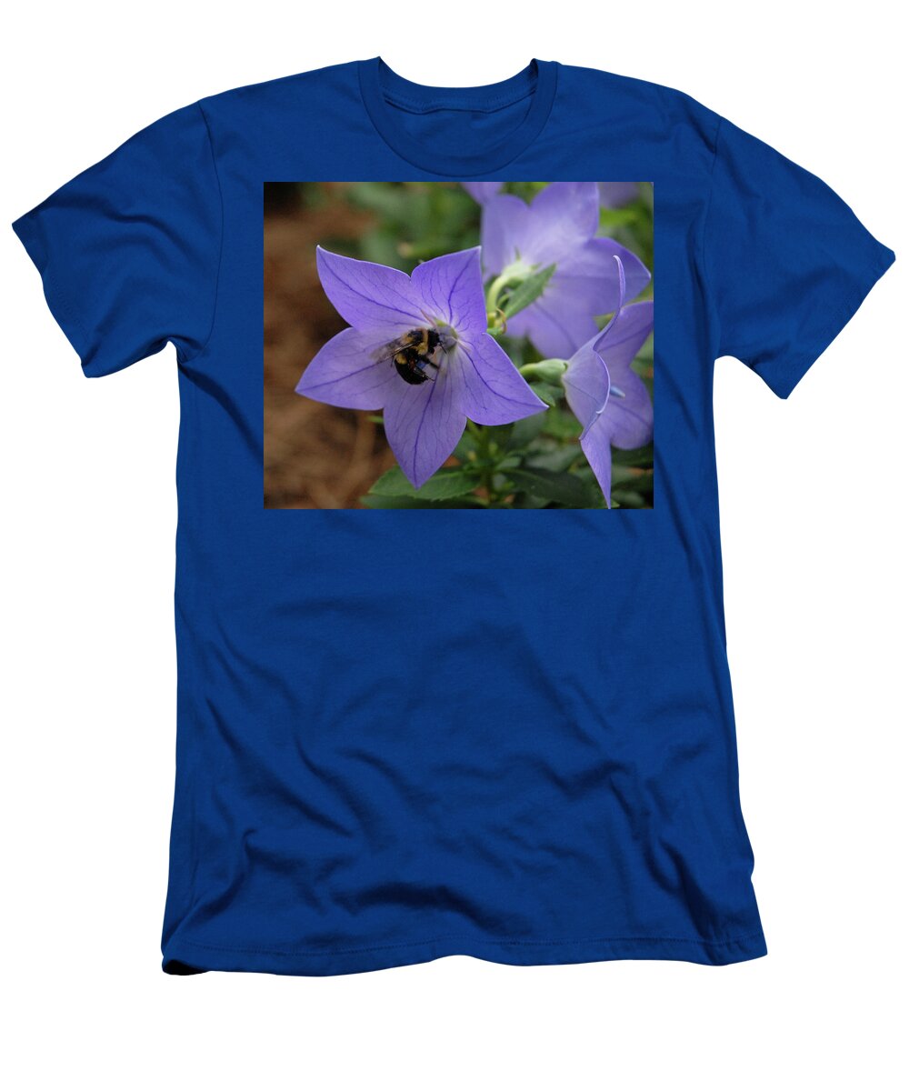 Bellflower T-Shirt featuring the photograph Bellflower and Bee by Marie Hicks