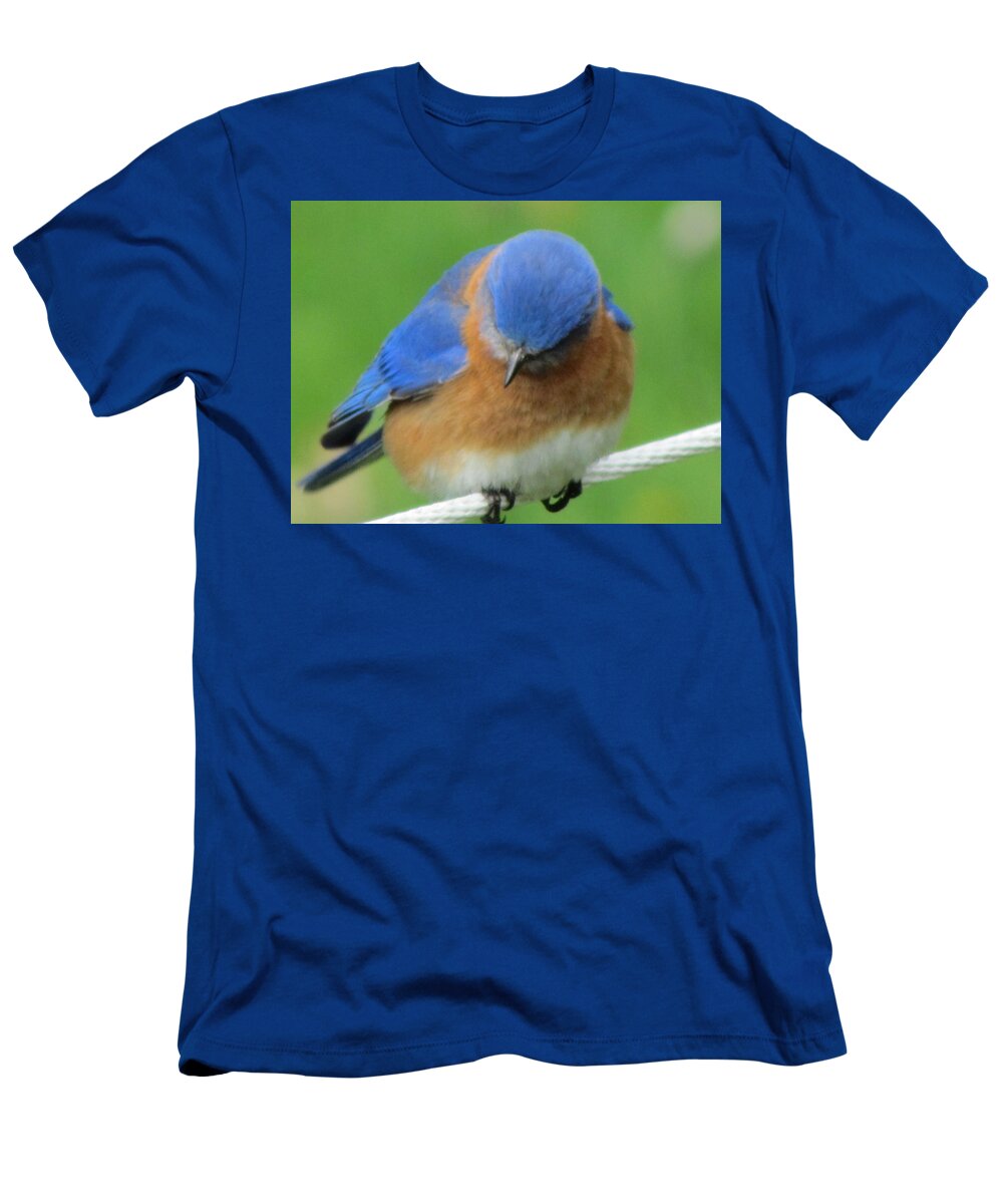 Blue Bird Sitting On Clothes Line T-Shirt featuring the painting Blue bird by Betty Pieper