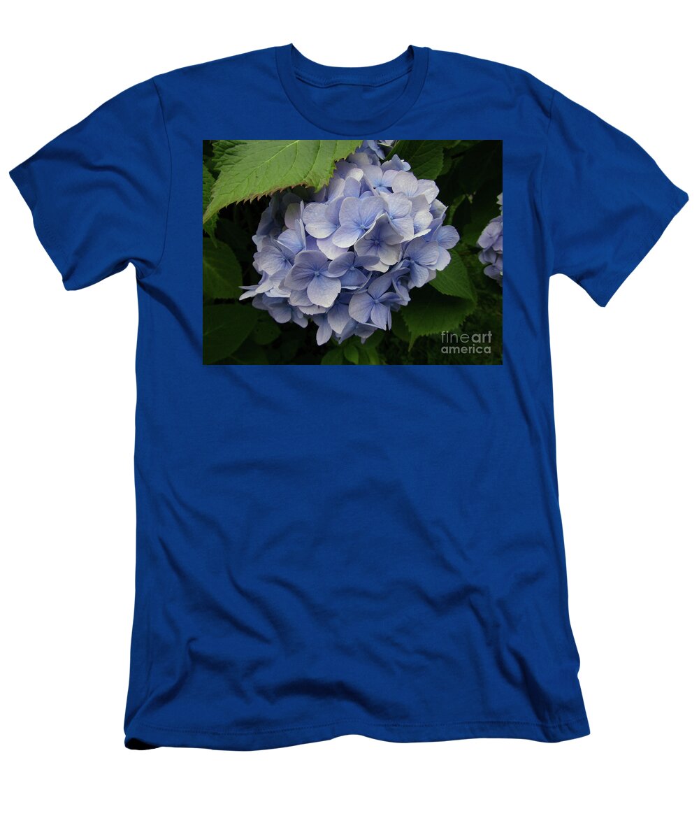 Hydrangea T-Shirt featuring the photograph Blue Hydrangea Blooms by Kim Tran