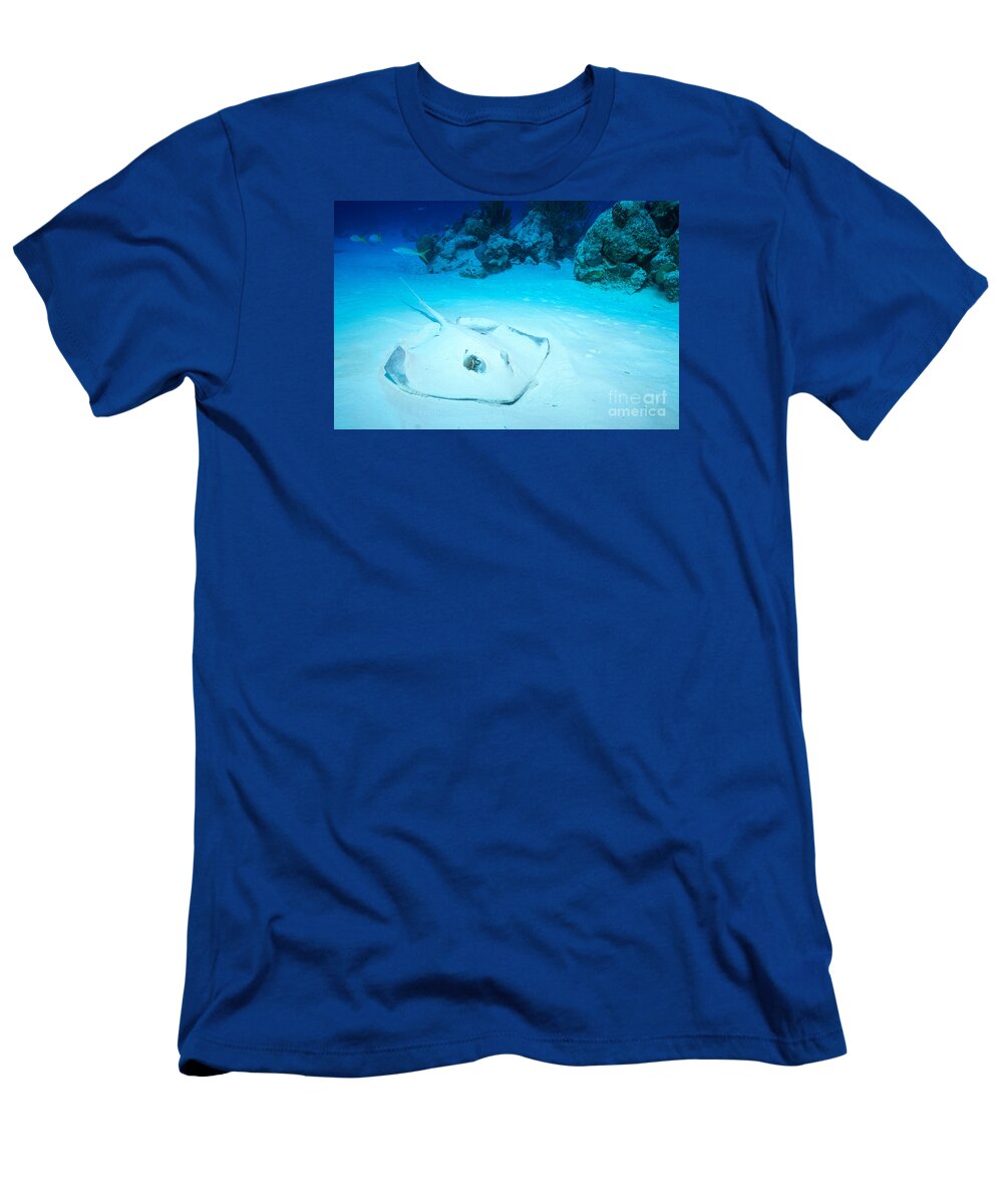 Southern Stingray T-Shirt featuring the photograph Bottom Dweller by Aaron Whittemore
