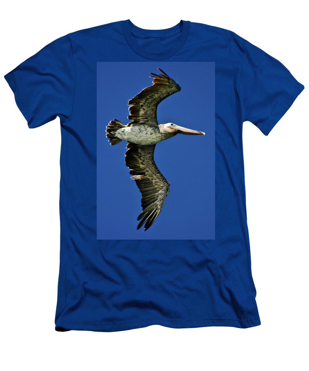 Brown Pelican T-Shirt featuring the photograph Brown Pelican by Albert Seger