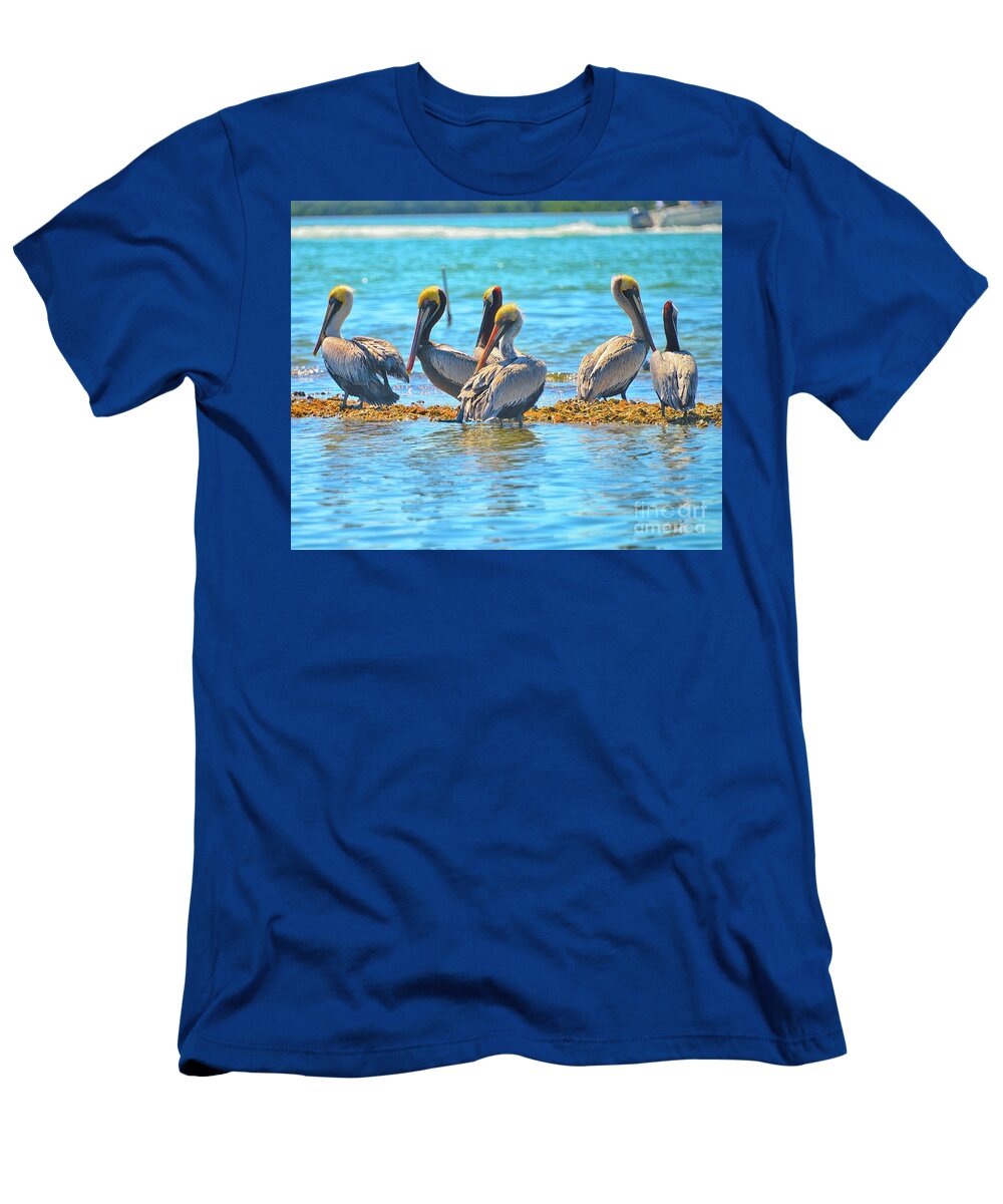Englwood Florida T-Shirt featuring the photograph Brunch by Alison Belsan Horton