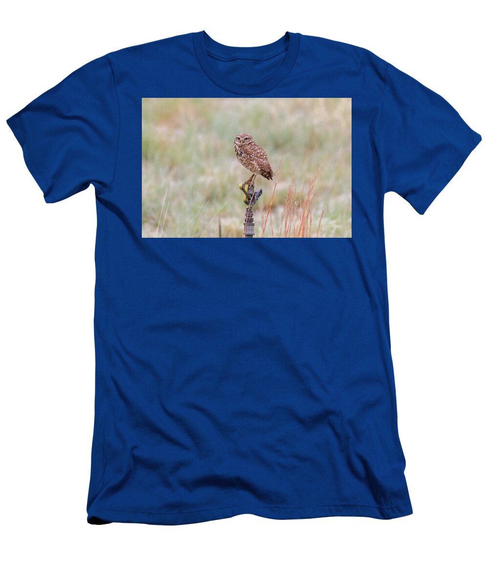 Owl T-Shirt featuring the photograph Burrowing Owl On a Sprinkler by Tony Hake
