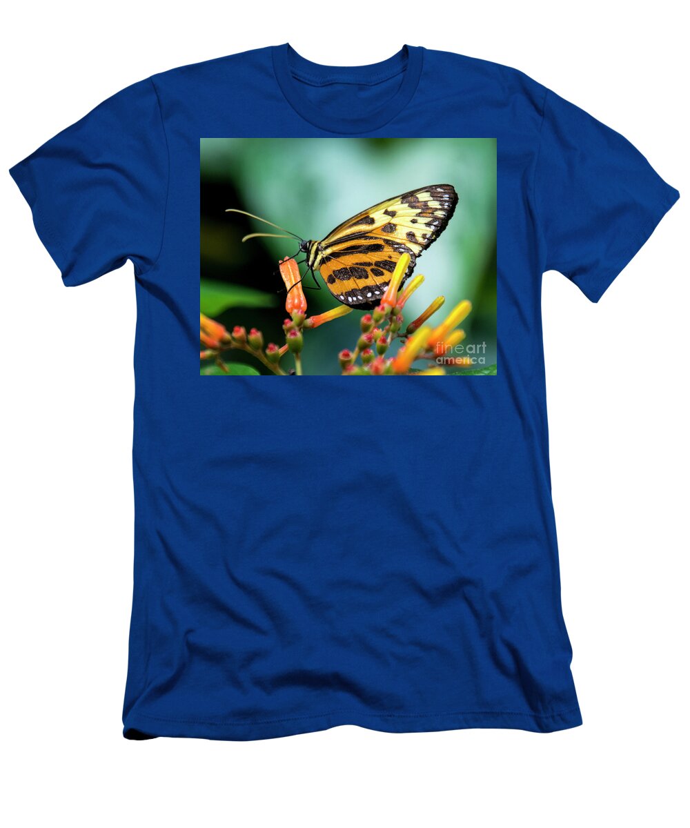 Butterfly T-Shirt featuring the photograph Butterfly #1957 by Chuck Flewelling