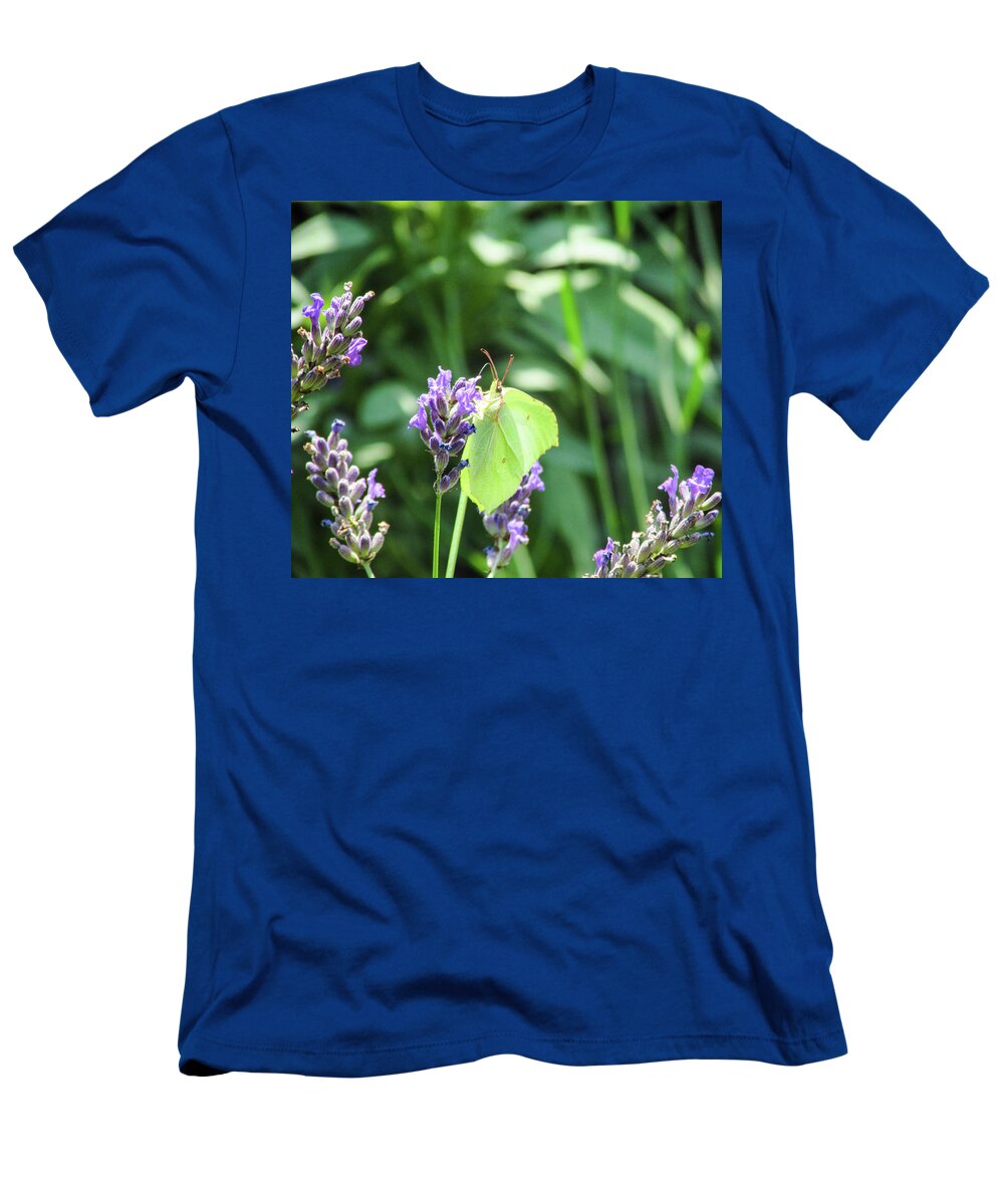 Sunflower T-Shirt featuring the photograph Butterfly and Lavender by Cesar Vieira