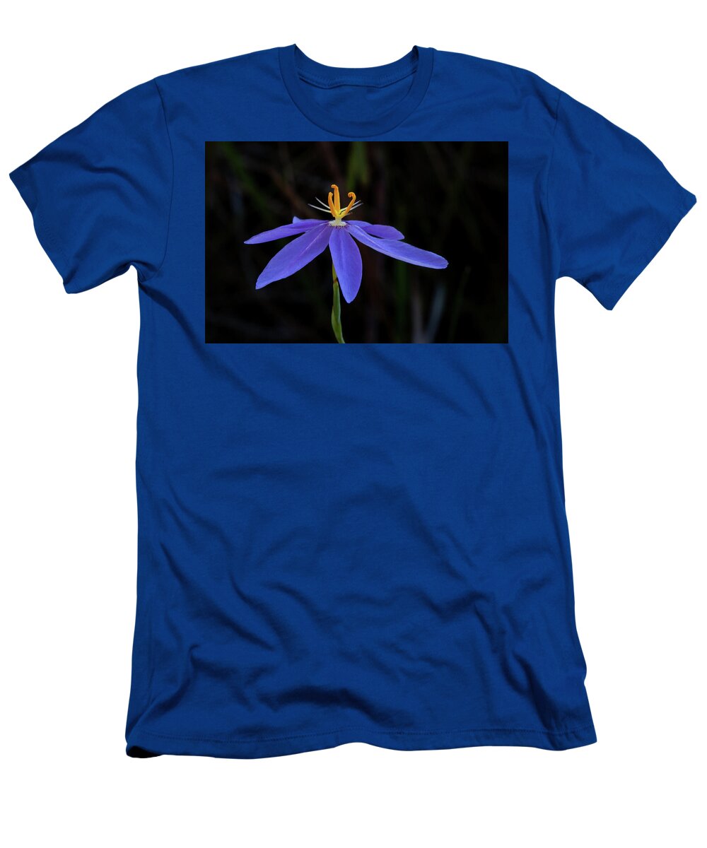 Celestial Lily T-Shirt featuring the photograph Celestial Lily by Paul Rebmann