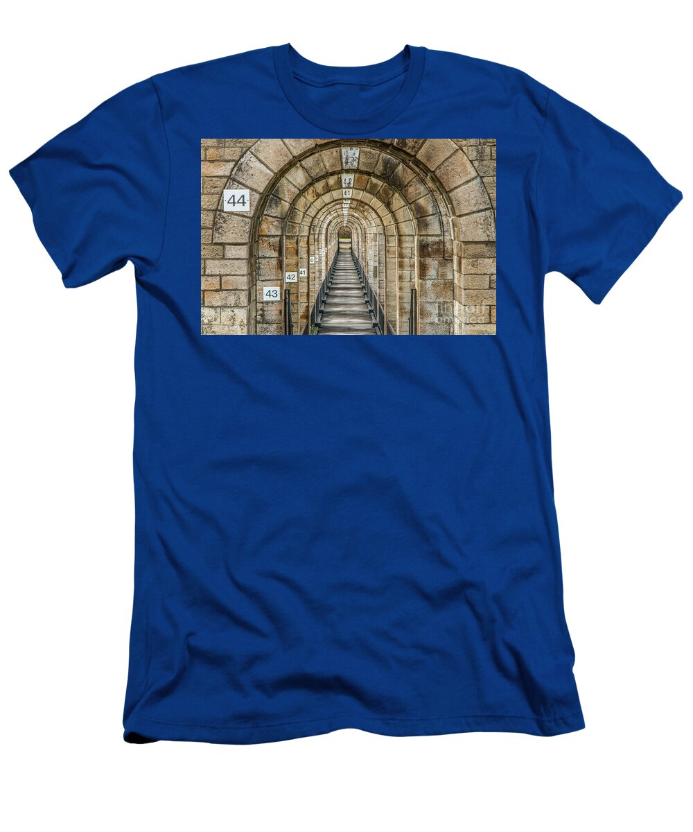 France T-Shirt featuring the photograph Chaumont Viaduct France by Fabrizio Malisan