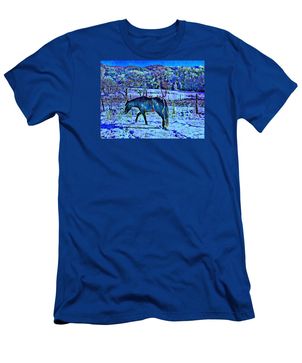 Horse T-Shirt featuring the photograph Christmas Roan El Valle III by Anastasia Savage Ealy