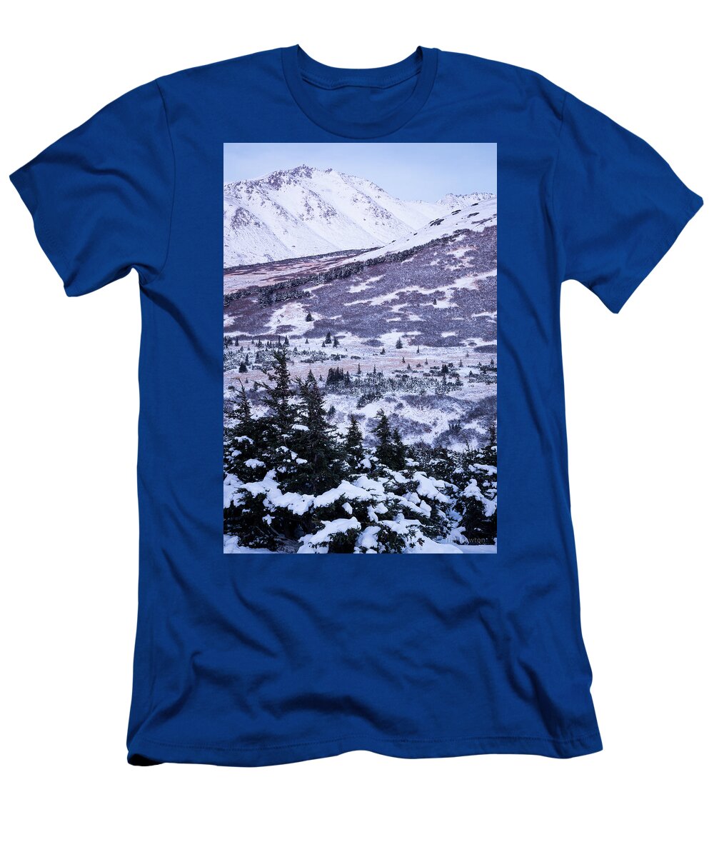 Chugach T-Shirt featuring the photograph Chugach in Alpenglow by Tim Newton