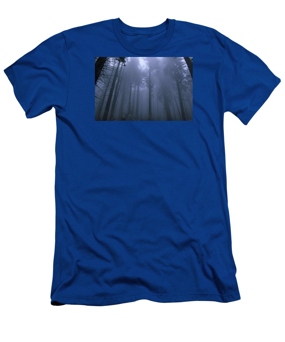 Forest T-Shirt featuring the photograph Clouded Forest by Soli Deo Gloria Wilderness And Wildlife Photography
