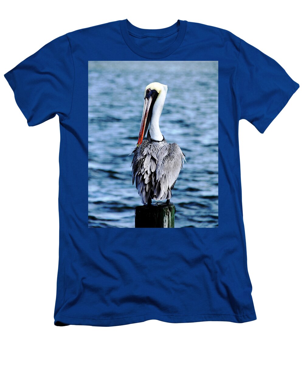Brown Pelican T-Shirt featuring the photograph Comically Elegant by Debbie Oppermann