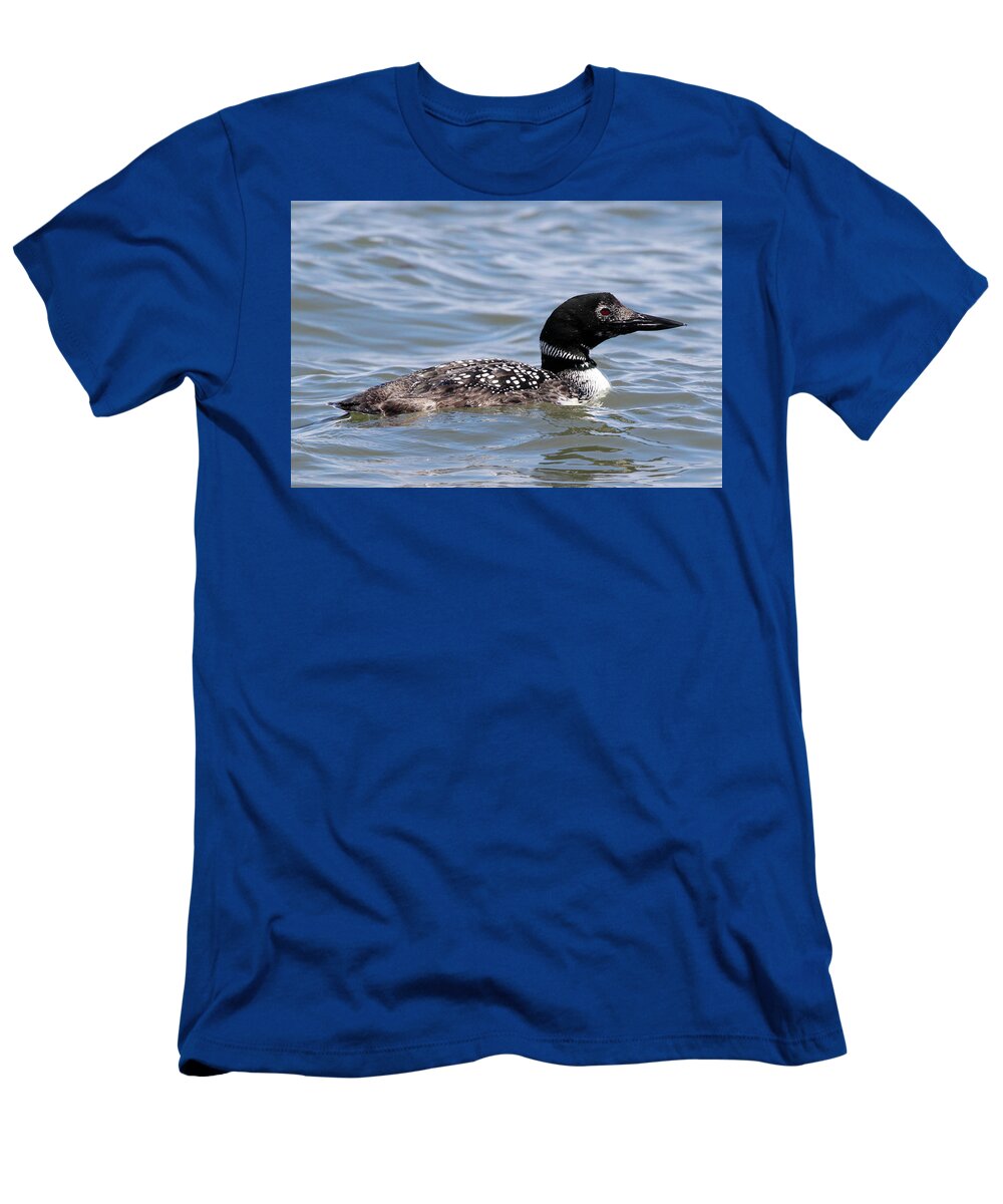 Common Loon T-Shirt featuring the photograph Common Loon Port Jefferson New York by Bob Savage